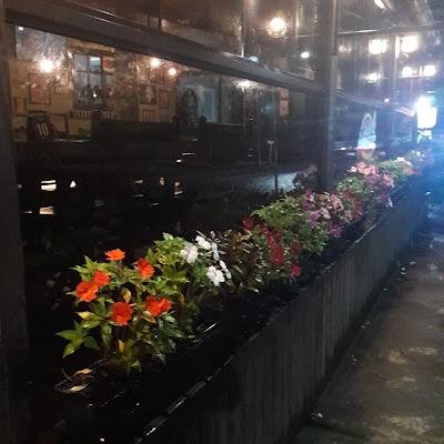 Fritz Burguer Bier - Foto 1