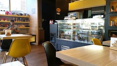 MS Vida Saudável - Foto 1