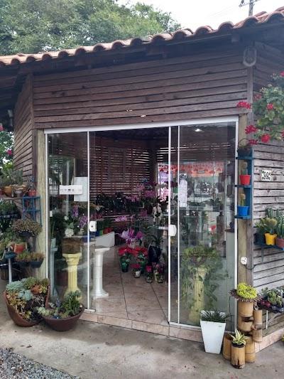 Floricultura Veneto - Foto 1