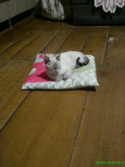 Boteco do Lucas - Foto 1