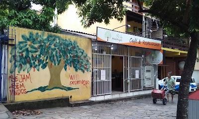 Pé de Manga - Foto 1