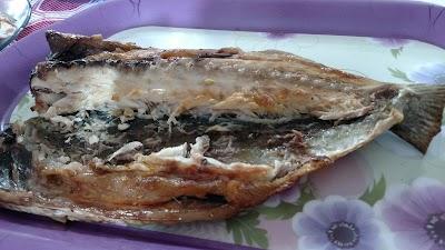 Bar e Restaurante Trabucão - Foto 1