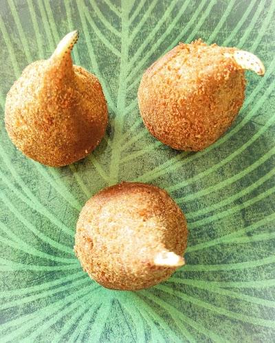 Raiz do Norte - Foto 1