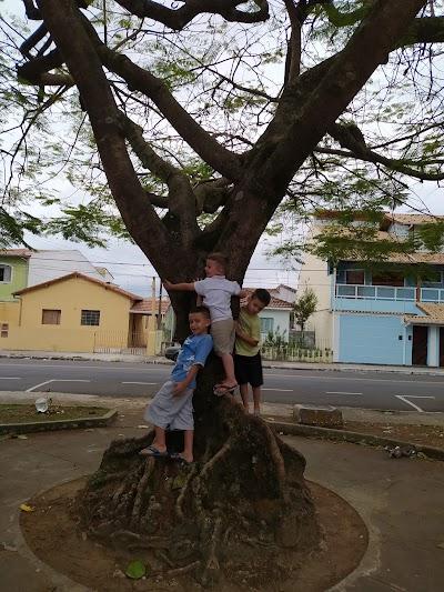 SORVETERIA E DOCERIA ÉVELYN - Foto 1
