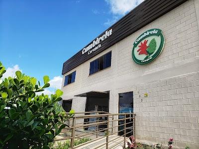Cervejaria Cambirela - Foto 1