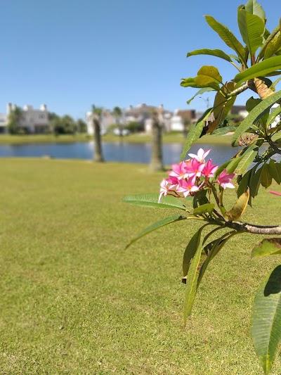 Fruteira Girassol - Foto 1