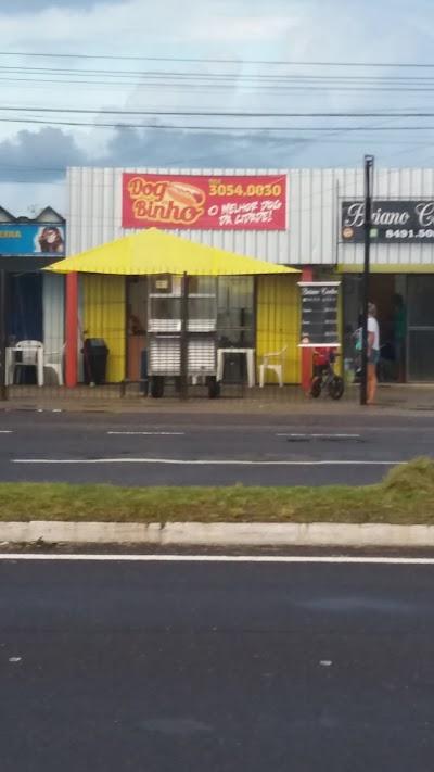 Dog do Binho - Foto 1