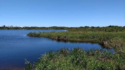 X-salada X-Bacon X-Galinha X-Soja - Foto 1