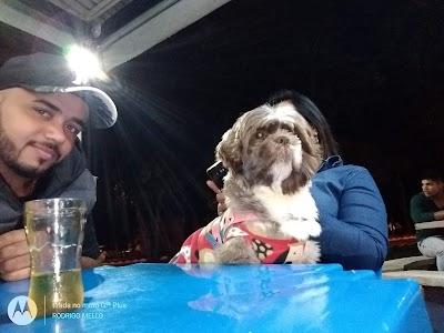 Pedro Lanches - Praça Nova - Alegrete-RS - Foto 1