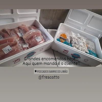 Pescados bairro do Limão - Foto 1