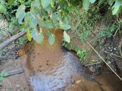 Restaurante Cantinho Mineiro - Foto 1