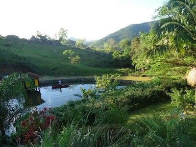 Sitio França - Foto 1