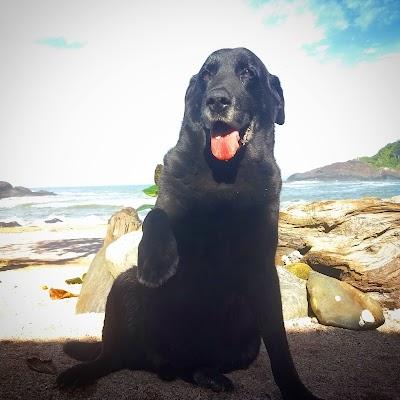 Restaurante e Pousada Gravata - Foto 1