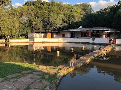 Pesque e Pague do Madruga - Foto 1