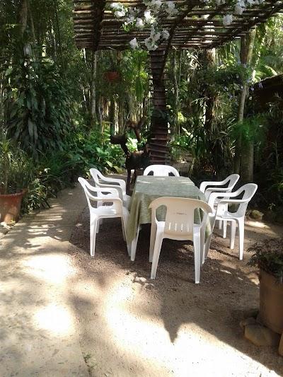 Ilha das Bromélias - Foto 1