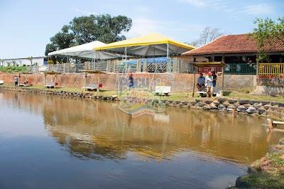 Pesqueiro do Pacu - Foto 1