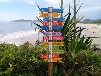 Dog do Cato - Foto 1